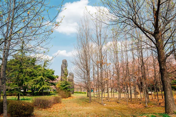 Ansan Corea Abril 2021 Hwarang Recreation Área Park Spring — Foto de Stock
