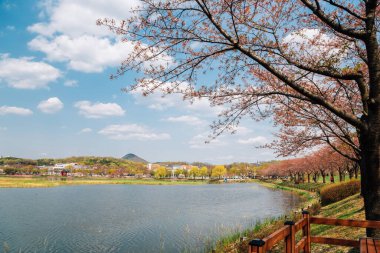 Ansan, Kore 'de Hwarang Dinlenme Alanı Parkı