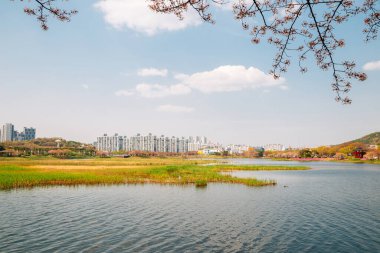 Ansan, Kore 'de Hwarang Dinlenme Alanı Parkı