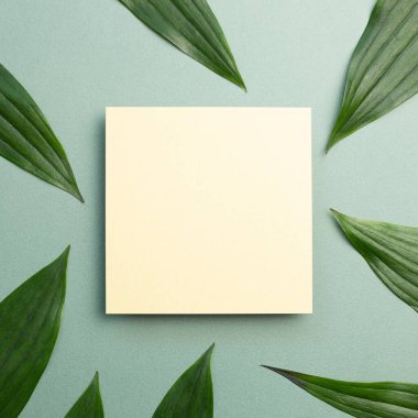 Yeşil arka planda taze yaprağı olan boş bir not defteri. Üst görünüm, boşluk kopyala