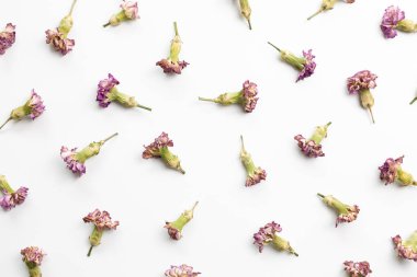 Beyaz arka planda kuru karanfil çiçekleri. Düz yatış, üst manzara. Çiçek deseni