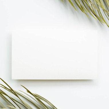 Beyaz arka planda tropik kuru yapraklı boş not defteri. Üst görünüm, boşluk kopyala