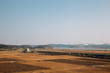 Kore, Paju 'daki Imjingak Pyeonghoa-Nuri parkından kırsal çeltik tarlası.