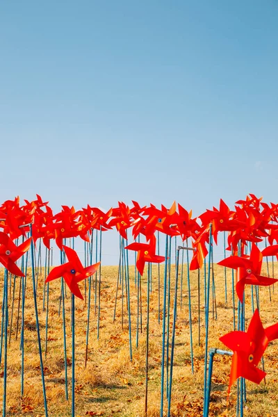 Girandole Rosse Parco Imjingak Pyeonghoa Nuri Paju Corea — Foto Stock