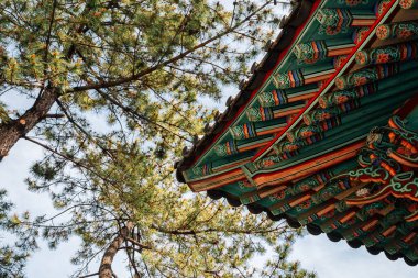 Yeosu, Kore 'de Jinnamgwan Hall geleneksel mimarisi