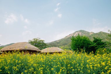 Kore, Suncheon 'daki Naganeupseong Nagan halk köyü.