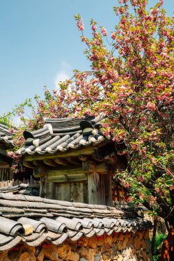 Jogyesan dağı Seonamsa Tapınağı baharda Suncheon, Kore 'de