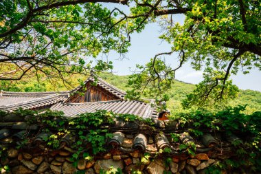 Suncheon, Kore 'deki Jogyesan Dağı Seonamsa Tapınağı