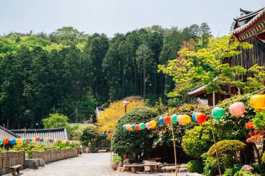 Suncheon, Kore 'deki Jogyesan Dağı Seonamsa Tapınağı (Çeviri: Buddha' nın doğum günü))