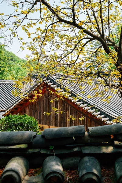 Jogyesan Montagna Seonamsa Tempio Suncheon Corea — Foto Stock