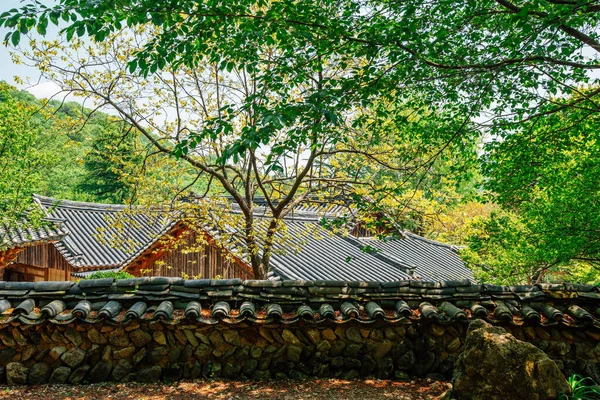 Jogyesanská Hora Chrám Seonamsa Suncheonu Korea — Stock fotografie