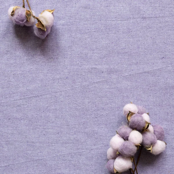 Purple Cotton Plant Purple Fabric Background Floral Pattern Flat Lay — Stock Photo, Image