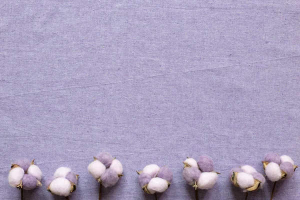 Purple cotton plant on purple fabric background. floral pattern. flat lay, top view, copy space