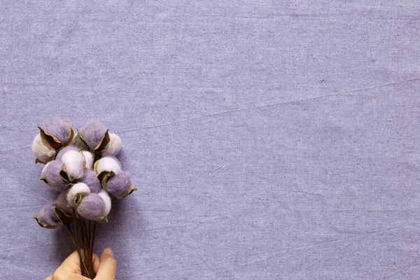 Hand Holding Purple Cotton Plant Purple Fabric Background Top View — Stock Photo, Image
