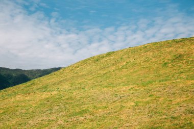 Daeseong-dong Gimhae, Kore 'deki Antik Mezarlar