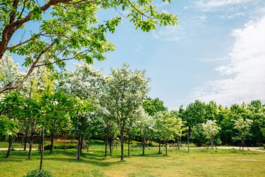Gimhae, Kore 'deki Sureungwon Bahçesi