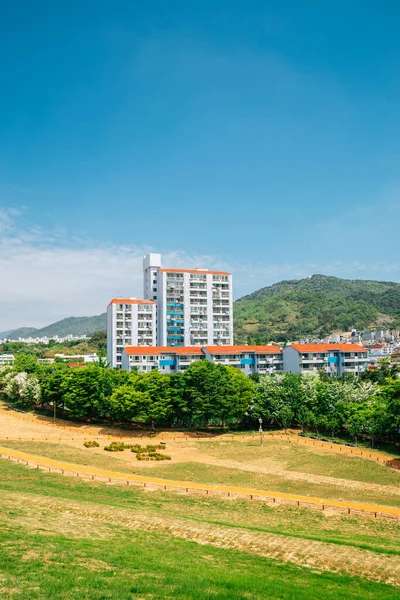 Daeseong Dong Starověké Hrobky Pohled Město Gimhae Korea — Stock fotografie