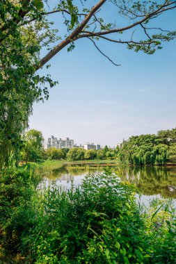 Ilsan Gölü Parkı ve Kore 'deki modern binalar.