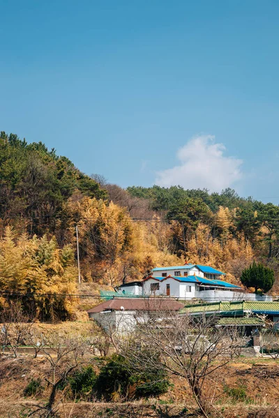 Pangyo Aldeia Rural Seocheon Coréia — Fotografia de Stock