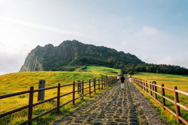 Seongsan Ilchulbong Tuff Cone in Jeju Island, Korea clipart