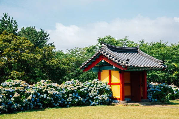 Honinji Pond Hydrangea Flower Garden Jeju Island Korea — Stockfoto