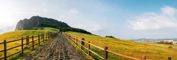 Kore Jeju Adası Ndaki Seongsan Ilchulbong Tuff Konisinin Panoramik Görüntüsü — Stok fotoğraf