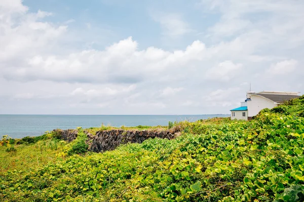 Jongdal Beach Green Field Jeju Island Korea — Zdjęcie stockowe
