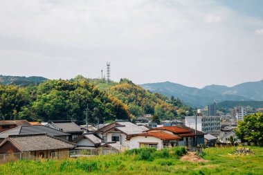 Ehime, Shikoku, Japonya 'daki Ozu köyü manzarası