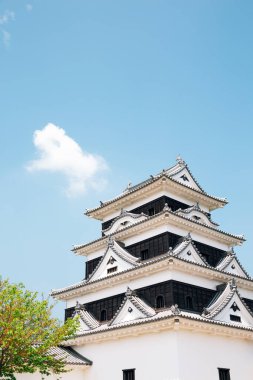 Ehime, Shikoku, Japonya 'daki Ozu kalesi.