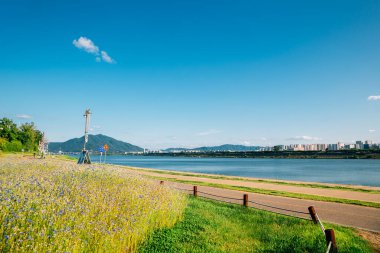 Namyangju Hangang Nehri Park Sampae Bölgesi İlkbaharda Kore 'de
