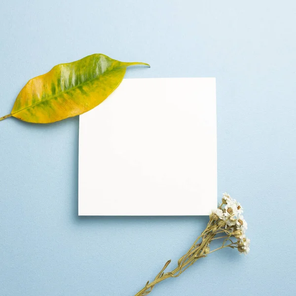 White memo pad with dry flowers on blue background. top view, copy space