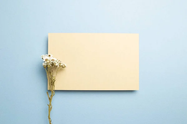 Beige memo pad with dry flowers on blue background. top view, copy space