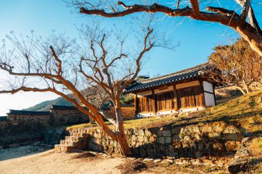 Byeongsan Seowon Tarihi Sitesi Andong, Kore