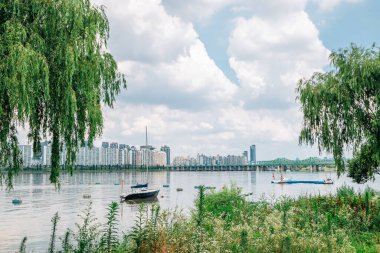 Yeouido Hangang Nehri Parkı ve Kore 'deki modern binalar.
