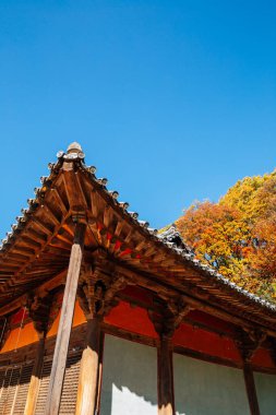 Yeongju, Kore 'deki Buseoksa Tapınağı' nın Sonbaharı