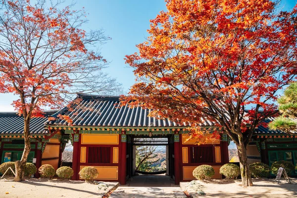 Herfst Van Buseoksa Tempel Yeongju Korea — Stockfoto