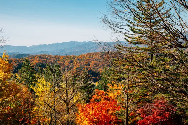 Templo Buseoksa Otoño Colorido Montaña Yeongju Corea — Foto de Stock