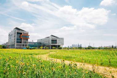 Ansan, Kore - 21 Temmuz 2021: Hükümet Danwon-gu Ofisi ve Sağlık Merkezi ve ayçiçeği tarlası