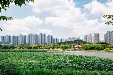 Yazın Ansan, Kore 'de Hwarang Dinlenme Alanı ve modern apartman binaları