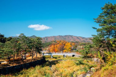 Yeongju, Kore 'de Sosuseowon Konfüçyüs Akademisi' nin Sonbaharı