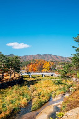 Yeongju, Kore 'de Sosuseowon Konfüçyüs Akademisi' nin Sonbaharı