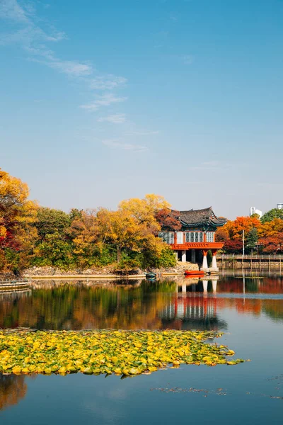 한국의 대구에 공원의 — 스톡 사진