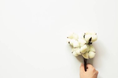 Beyaz arka planda el ele tutuşan pamuk fabrikası. Üst görünüm, boşluk kopyala