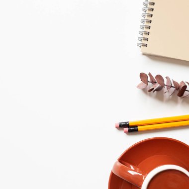 Not defteri, okaliptüs yaprağı, kalem, beyaz arka planda kahve fincanı. Düz konum, üst görünüm, kopyalama alanı. çalışma alanı