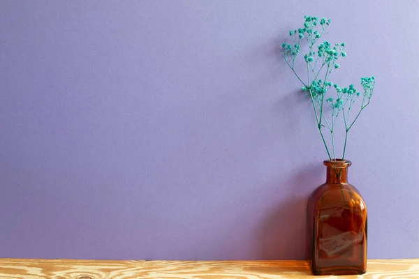 Ваза Дыхания Зеленого Ребенка Гипсофила Сухие Цветы Деревянном Столе Фиолетовый — стоковое фото
