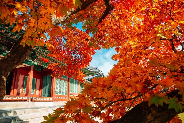 Deoksugung Palace Seoul Korea Őszi Juhar — Stock Fotó