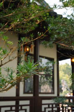 Suzhou, Çin - 16 Mart 2025: Oyalanan Bahçe Liuyuan, Çin geleneksel bahçesi