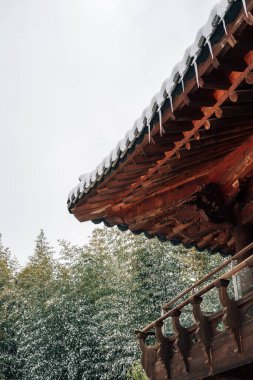 Kore Damyang 'daki Juknokwon Bambu Ormanı Kış Sahnesi