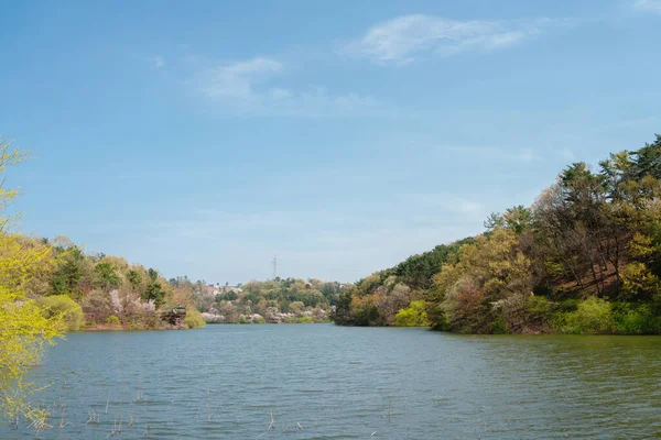 Seonam Lake Park, Ulsan, Kore 'de Ağaç Kaplamalı Tepelerle çevrili Sakin Bahar Gölü