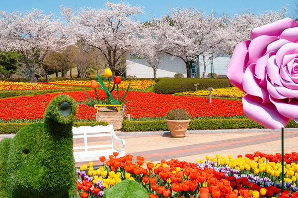 Ulsan, Kore - 5 Nisan 2024: Kiraz Çiçeği ile İlkbahar Lale Parkı